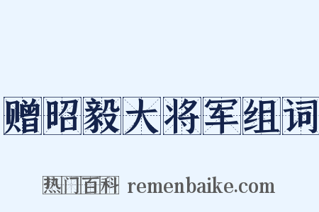 赠昭毅大将军组词是什么意思的图片
